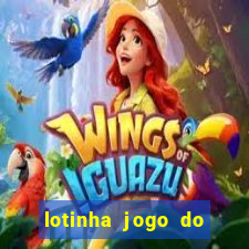 lotinha jogo do bicho como funciona